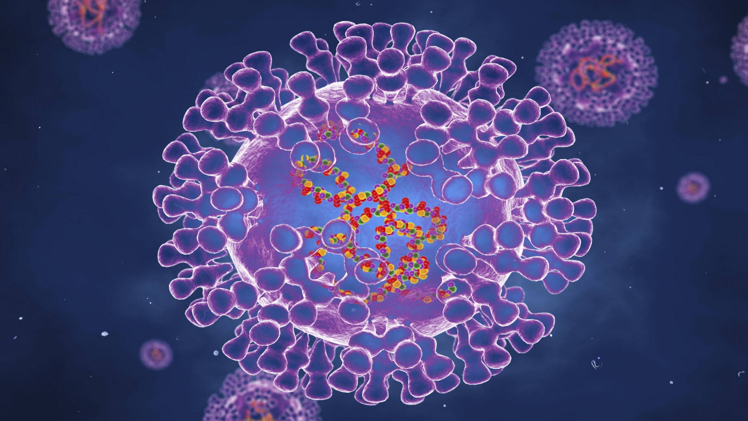 Pox Viruses, Illustration